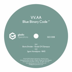 Blue Binary Code