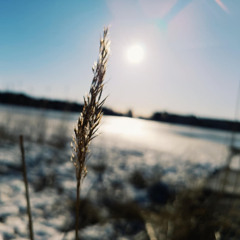 MayIhaveYourAttentionPlease