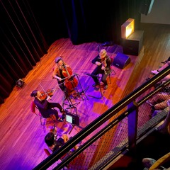 #15 Quatuor Bozzini - Niels Lyhne Løkkegaard