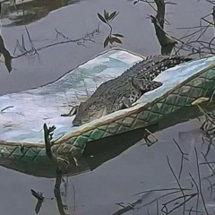 july 2023: leaving them on read