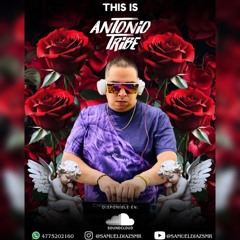 ANTONIO TRIBE