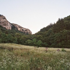 FORESTERIE AFTERGLOW MIX