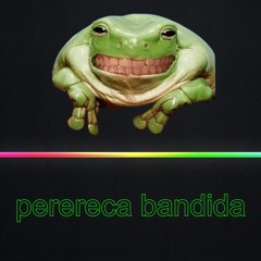 ⚡⚡⚡PERERECA BANDIDA⚡⚡⚡  DJ MASTER BOY 2021