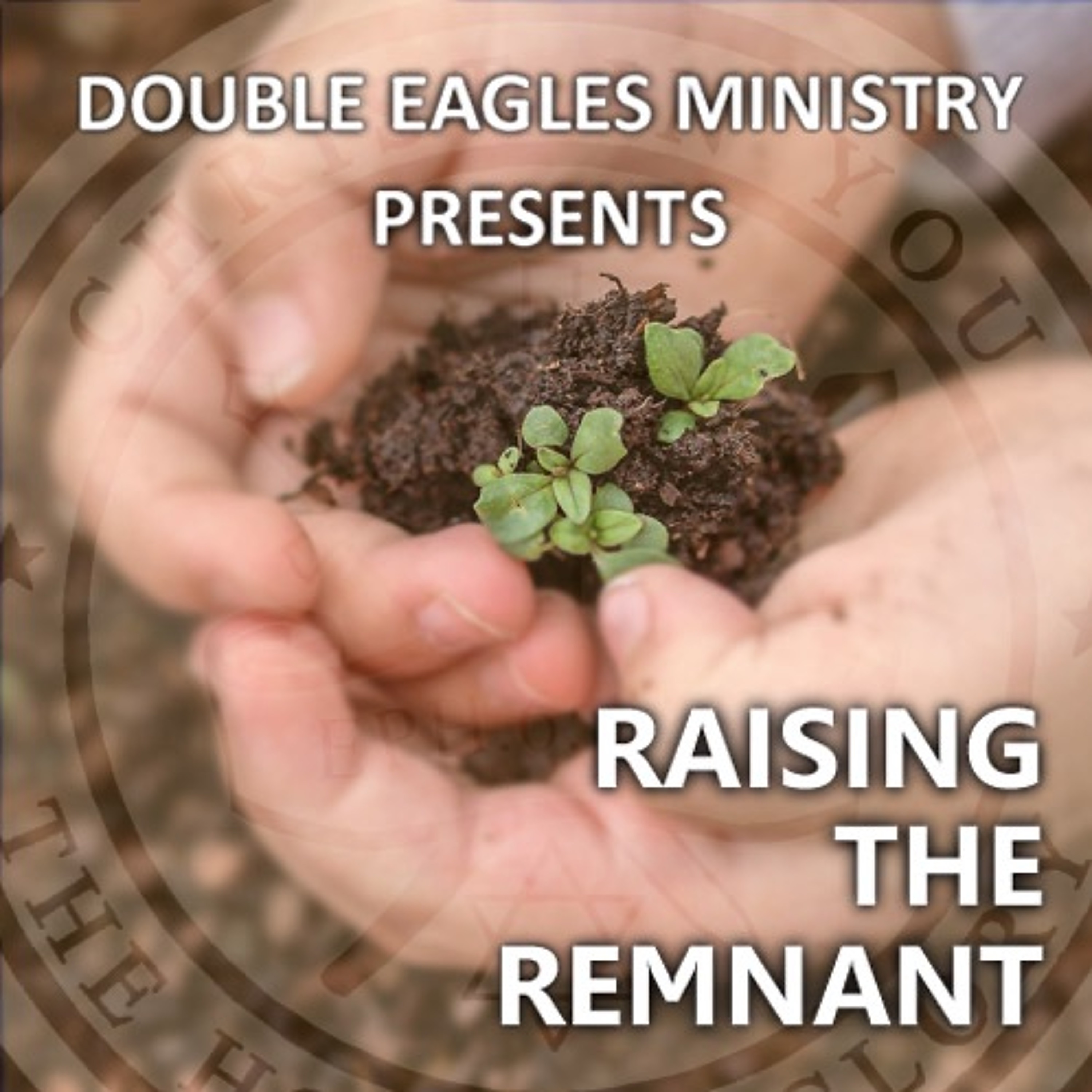 Raising the Remnant episode artwork