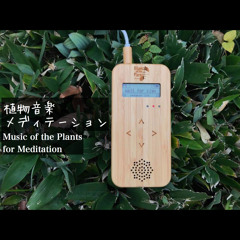 Stream Music Of The Plants Seeds Of Earth 植物音楽ユニット 大地の種 Music Listen To Songs Albums Playlists For Free On Soundcloud