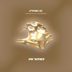 PREMIERE | Pres - Private Message (Angioma Remix) [RI7MO]