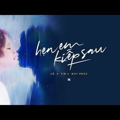 Hẹn em kiếp sau Lofi