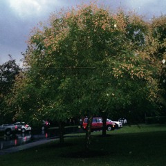 pacing in the half-light