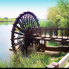 داوود العبدالله | جلسة ديرية