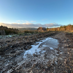 When The Colours Fade Original Mix