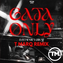 Gata Only (DJ T Marq Remix) [Jersey Club] - FloyyMenor, Cris MJ