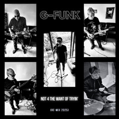 Not 4 The Want Of Tryin' (ReMix 2025)