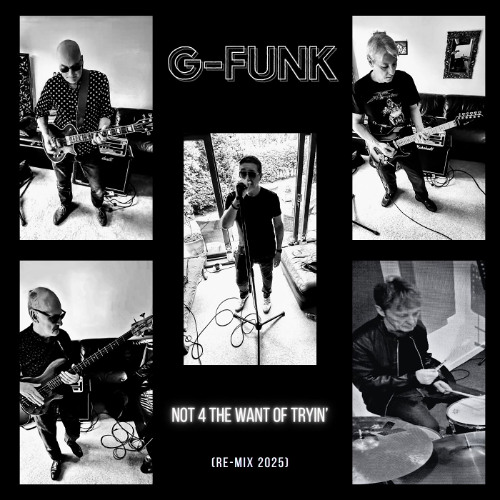 Not 4 The Want Of Tryin' (ReMix 2025)