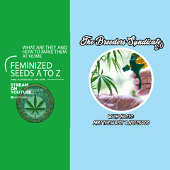 Breeders Syndicate 2.0 -  Feminized Seeds A to Z S05 E10