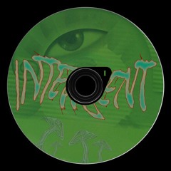IntelliGent Riddimz