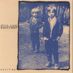 Evergreen - Bully Rag