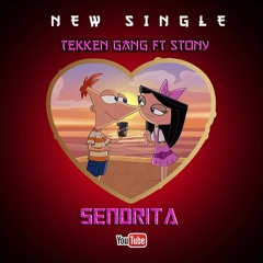Tekken Gang - Yalgo Ft Stony, Luffy, KINSLER P - Senorita (Audio Officiel)