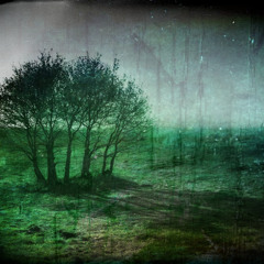 Danse avec les ombres