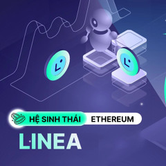 Linea sở hữu những đặc điểm nổi bật nào?