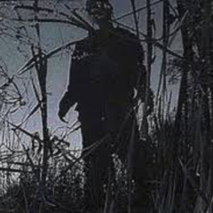 He's Following You