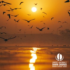 DAWN CHORUS - Bass Coast - 2025