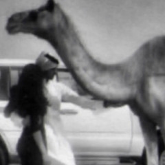 ‎ سقم حالي ياعلي من منقشة اليدين