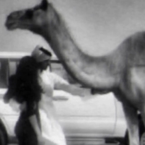 ‎ سقم حالي ياعلي من منقشة اليدين