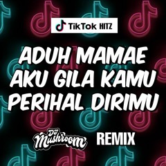 TikTok Hit - ADUH MAMAE / AKU GILA KAMU / PERIHAL DIRIMU - Mushroom Remix