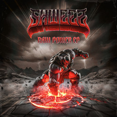 SHWEEZ - RAW POWER