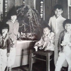 hồi chuông nửa đêm - thái thanh (thu thanh trước 1975)