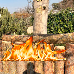 Firewood Mix 2025