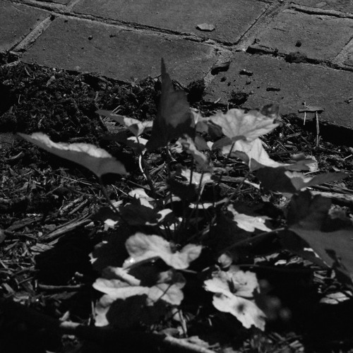 one day after another