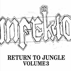 DJ Infekto Return to Jungle 3 *DL in description