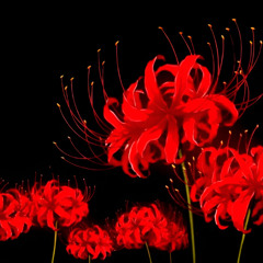 six fourty seven with drums