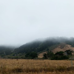 You're Trying To Run The Train With No Conductor