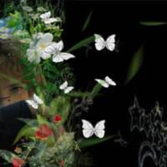 Party Edit @Alice