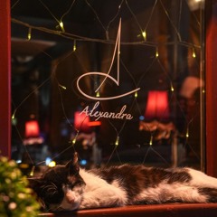 Alexandra Cocktail Bar 11.02 / Weekly #13