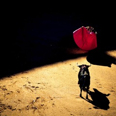Matadors