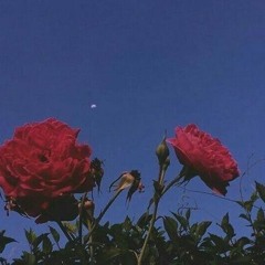 Endless Garden