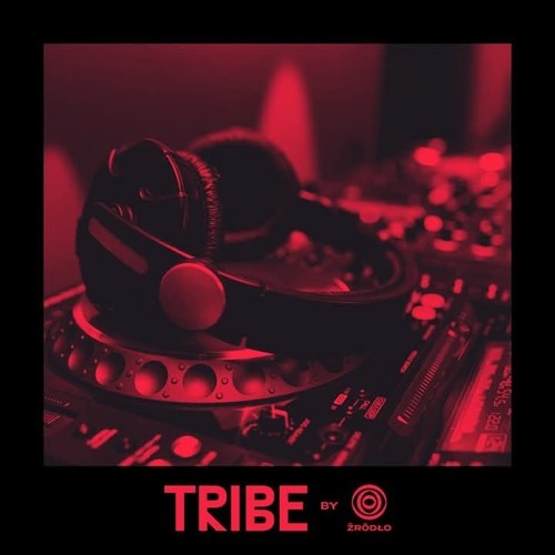 TRIBE meets Kosmos DJ contest mix-La KOKA DISKO -Live act