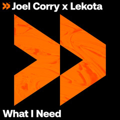 Joel Corry & Lekota - What I Need (Extended Mix)