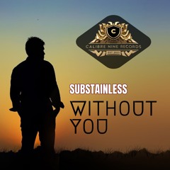 Without You (Preview)