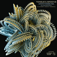 Tongue & Groove - Infinite Possibilities (David Phoenix Remix) [PREVIEW]