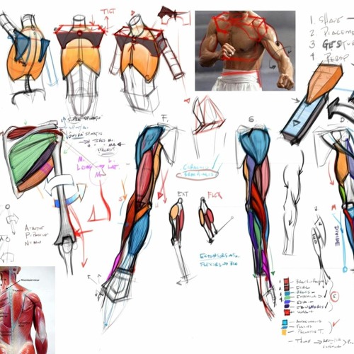 Stream Figure Drawing Design And Invention Michael Hampton 'LINK