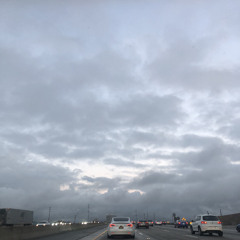 amazing-rex orange county [sped up]
