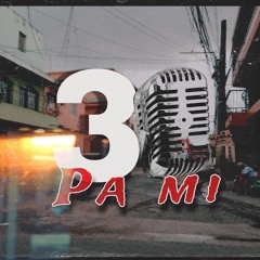 30PAMI