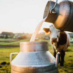 Got Raw Milk?