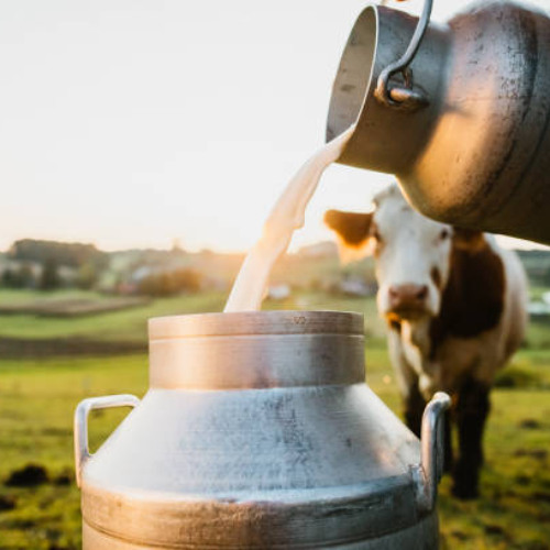 Got Raw Milk?