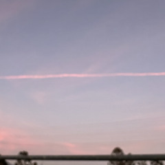 Perfect Days (Rough Draft)