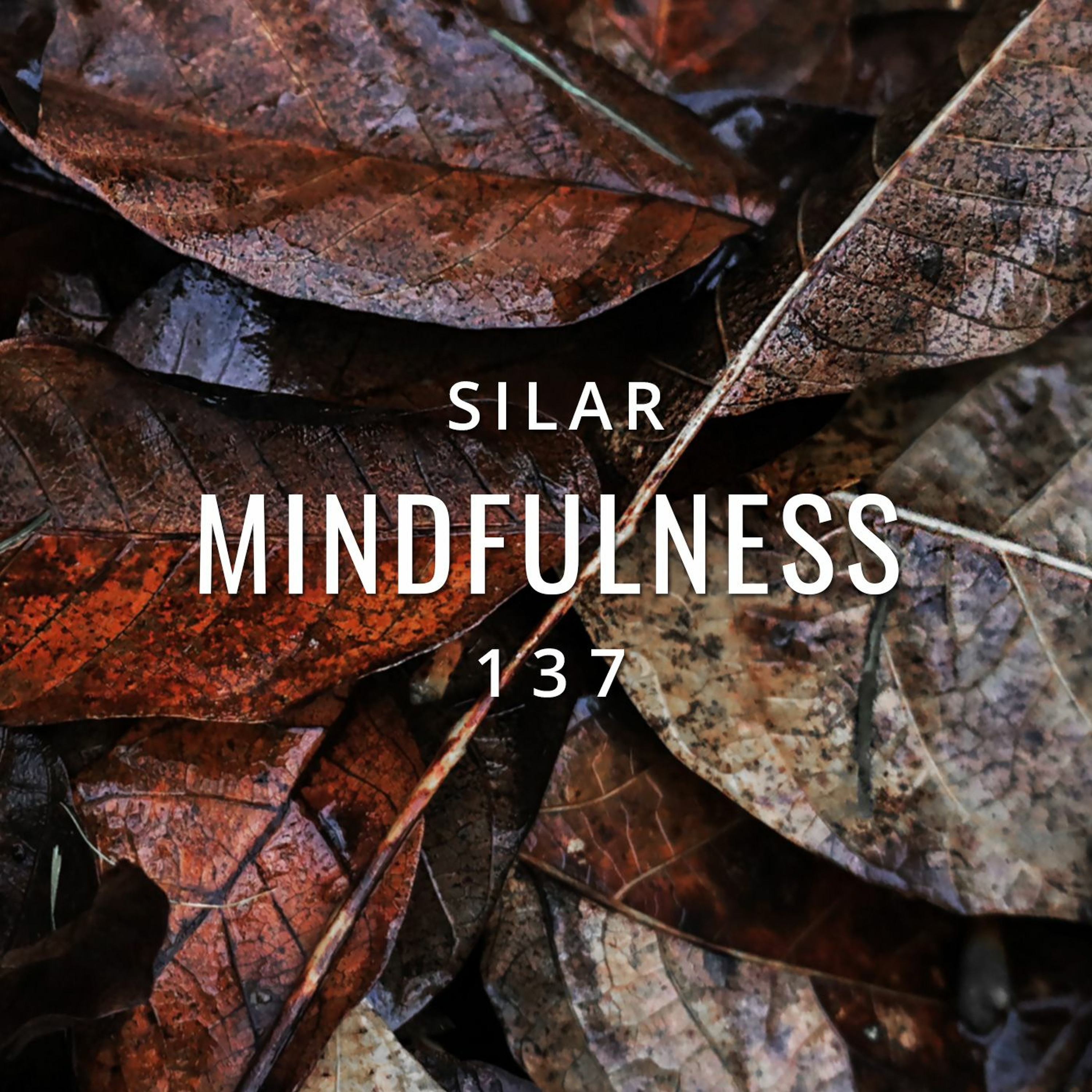 Mindfulness